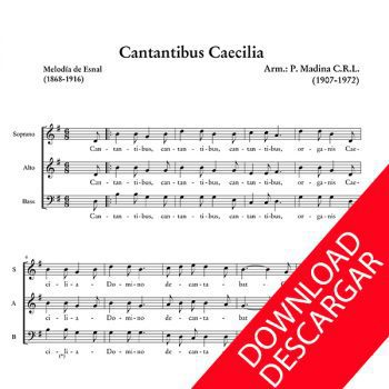 Cantantibus Caecilia - Aita madina - Partitura para Coro