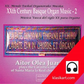 Órgano vasco del siglo XX - 2 - Aitor Olea